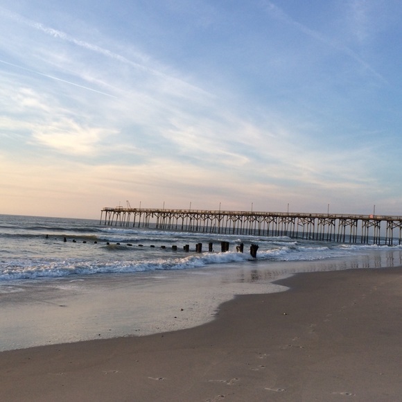 Meet your Posher, Pauli - Picture 1 of 1